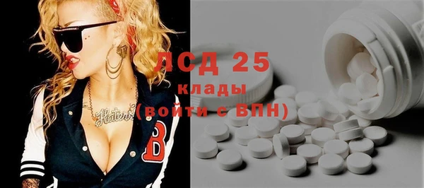 ПСИЛОЦИБИНОВЫЕ ГРИБЫ Баксан