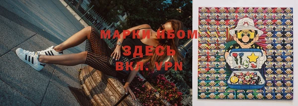 ПСИЛОЦИБИНОВЫЕ ГРИБЫ Баксан