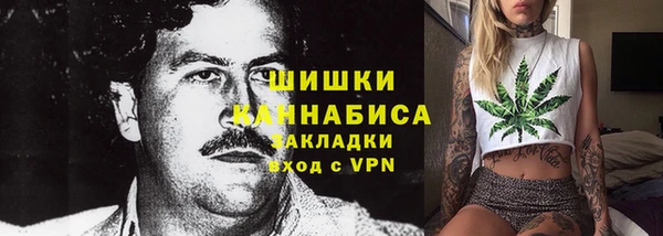 ПСИЛОЦИБИНОВЫЕ ГРИБЫ Баксан