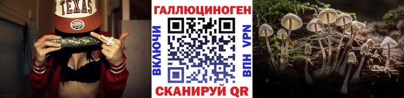 Галлюциногенные грибы GOLDEN TEACHER  Купить  Воткинск 